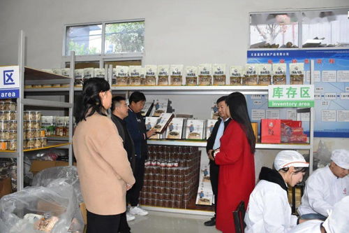 文縣電商中心負(fù)責(zé)人深入一線，檢查指導(dǎo)電商協(xié)會(huì)及企業(yè)運(yùn)營(yíng)，力促農(nóng)副產(chǎn)品銷(xiāo)售再上新臺(tái)階