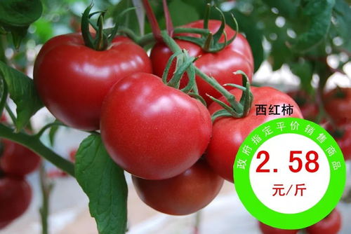 平價(jià)惠民，品質(zhì)安心 政府指定農(nóng)副產(chǎn)品熱銷(xiāo)進(jìn)行時(shí)