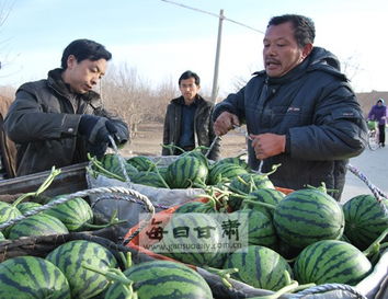 涼州清水鄉(xiāng) 多措并舉撬動(dòng)農(nóng)副產(chǎn)品銷售新引擎