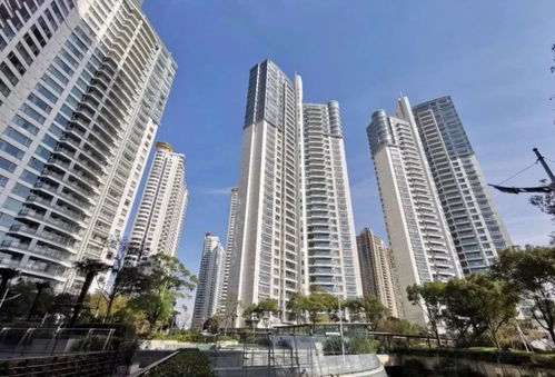 誰站在陸家嘴豪宅鄙視鏈頂端 湯臣一品VS中糧海景壹號(hào)